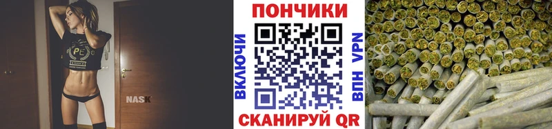 Купить  Кохма  Марихуана сатива 